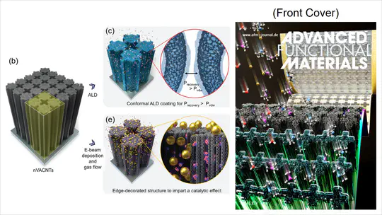 5. Nanotransfer Printing for Synthesis of Vertically Aligned Carbon Nanotubes with Enhanced Atomic Penetration